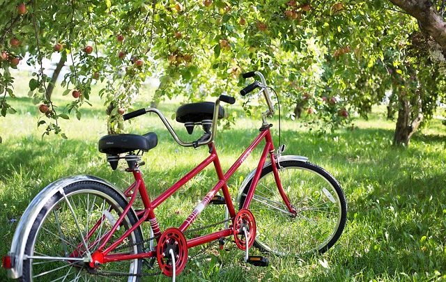 Fahrspaß mit dem Tandem