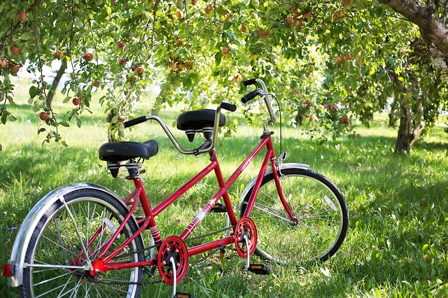 Fahrspaß mit dem Tandem